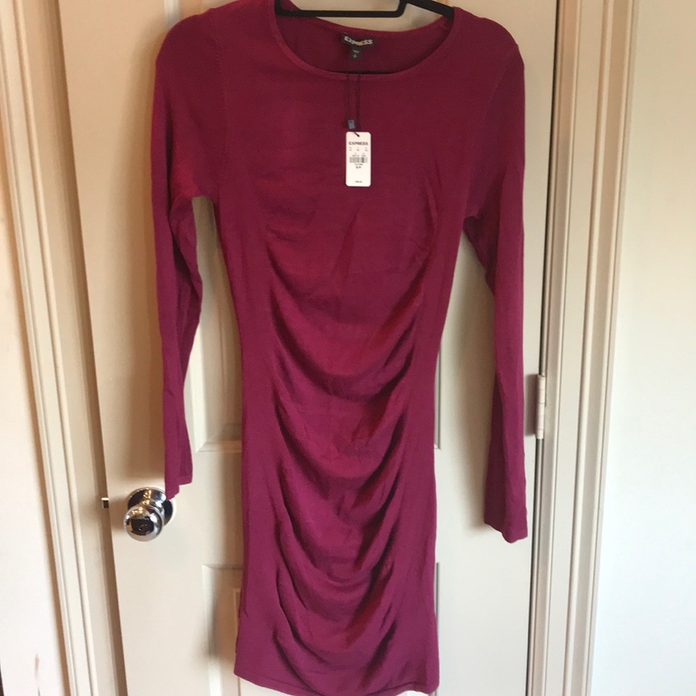 Express Fitted Sweater Dress NWT
